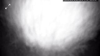 Leccatina al suo clitoride