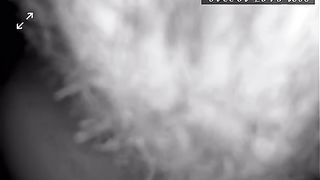 Leccatina al suo clitoride