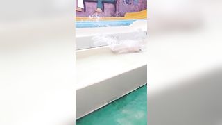 Perde il costume al parco aquatico