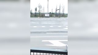 La cagna giapponese gira nuda in pubblico