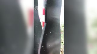 La cagna giapponese gira nuda in pubblico