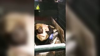 Beccati a scopare in un cantiere pubblico