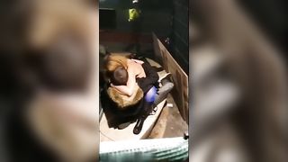 Beccati a scopare in un cantiere pubblico