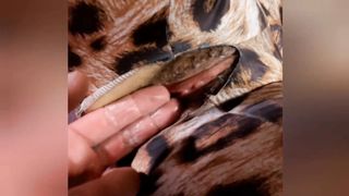 Uso la mia troia come un giocattolo inutile