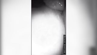 Adoro leccare la sua patata fino all'orgasmo