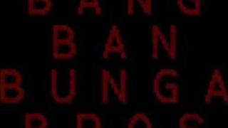 Porcellina mora scopa