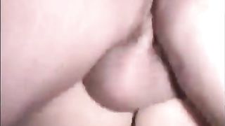 Porcellina mora scopa