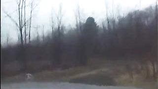 La puttana ubriacona