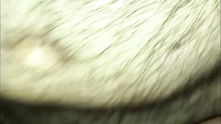 Il figone caldo di mia moglie