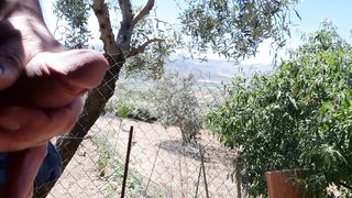 Lo spettacolo della natura