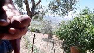 Lo spettacolo della natura