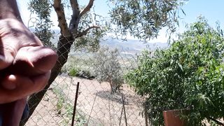 Lo spettacolo della natura