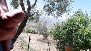 Lo spettacolo della natura