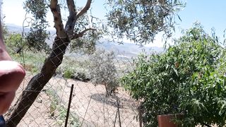 Lo spettacolo della natura