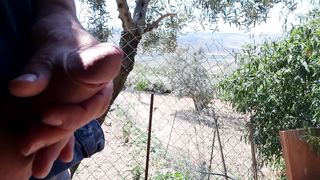 Lo spettacolo della natura