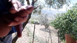 Lo spettacolo della natura