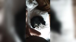 Scopata del week end