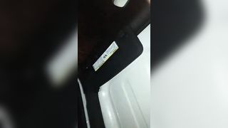 Biondona scopata in auto