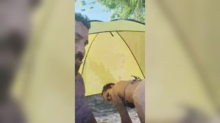 Diretta streaming per coppia italiana di maiali