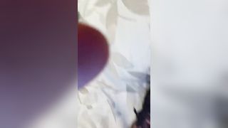 DAI PORCA fammi divertire su !