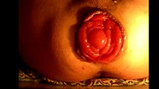 Una rosa sbocciata...