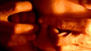 Una rosa sbocciata...