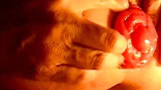 Una rosa sbocciata...