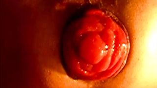 Una rosa sbocciata...