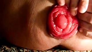 Una rosa sbocciata...