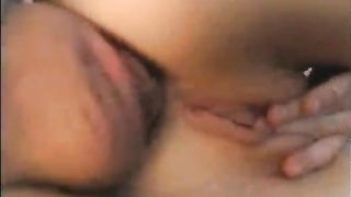 Lea biondina inculata