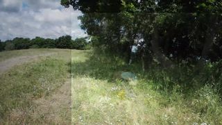 quando scappa scappa