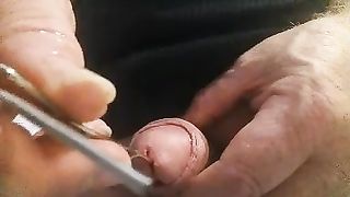 Piccolo assaggio di femminilità