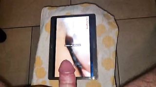 Tributo a primiscambibsx1