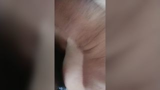 Troia gode a prenderlo nel culo