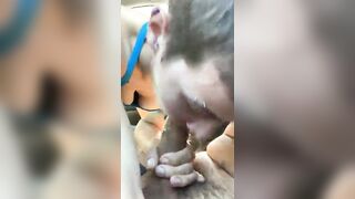 Giovane puttanella in auto succhia e beve