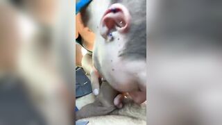 Giovane puttanella in auto succhia e beve