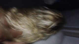 Bionda scopata dal cugino