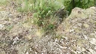 Il cazzo tutto in bocca!