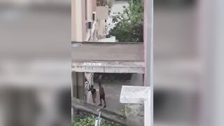 VERGOGNA ci SONO BAMBINI CHE GUARDANO !