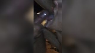 Sborro in bocca a mia moglie