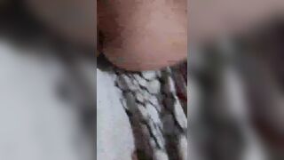 In diretta con una GNOCCA NOSTRANA