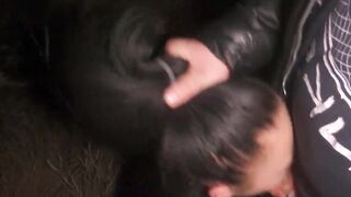 Troia sposata succhia il cazzo di uno sconosciuto al parco e ingoia