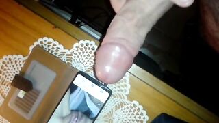 Tributo per maialina