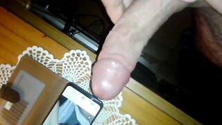 Tributo per maialina