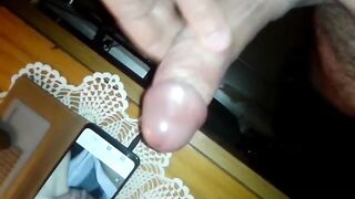 Tributo per maialina