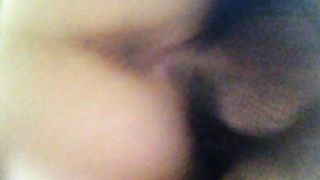 Bruna porca gode come una cagna