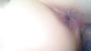 Bruna porca gode come una cagna