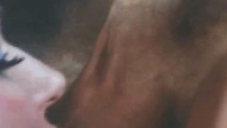 Scopata vintage con milf bruna