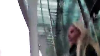 Bionda girl ceca presa e scopata