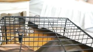 Sesso di gruppo con sexy teen bizzarre